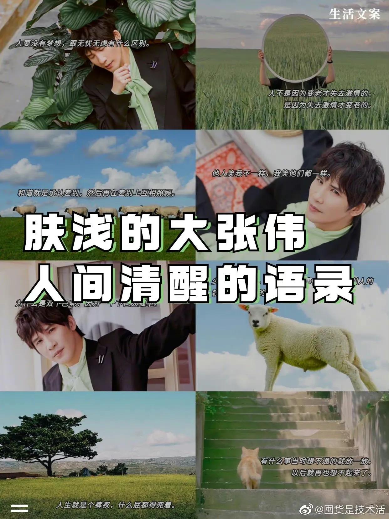 据说大张伟的嘴能救命，这谁能扛得住