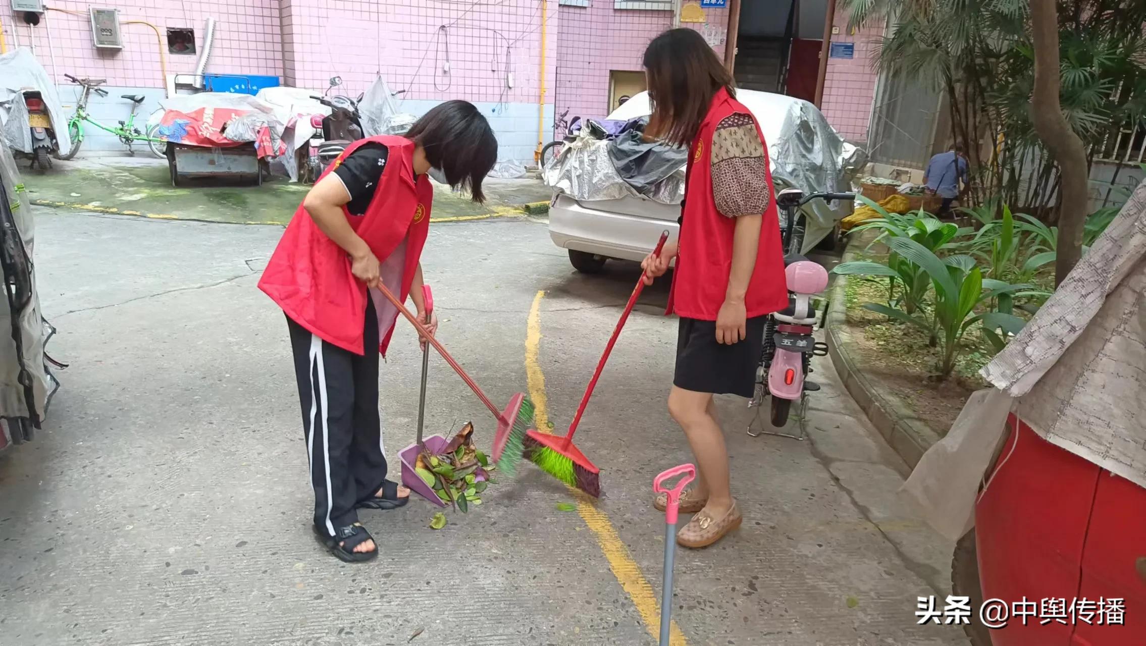 隆昌市统计局积极开展志愿者服务活动