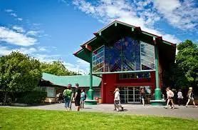 新西兰不仅牛羊肉便宜，居然最利于移民的留学项目，¥10万就能读