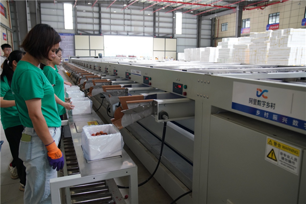 1281�ڣ�����Ͱ��׷������ƻ��ɼ��� ����18��������������¾ٴ�