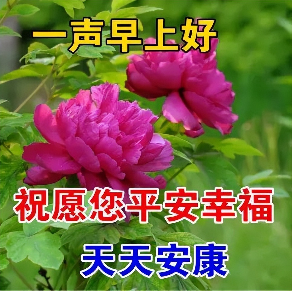 早上好的句子 早安祝福问候带字图图片