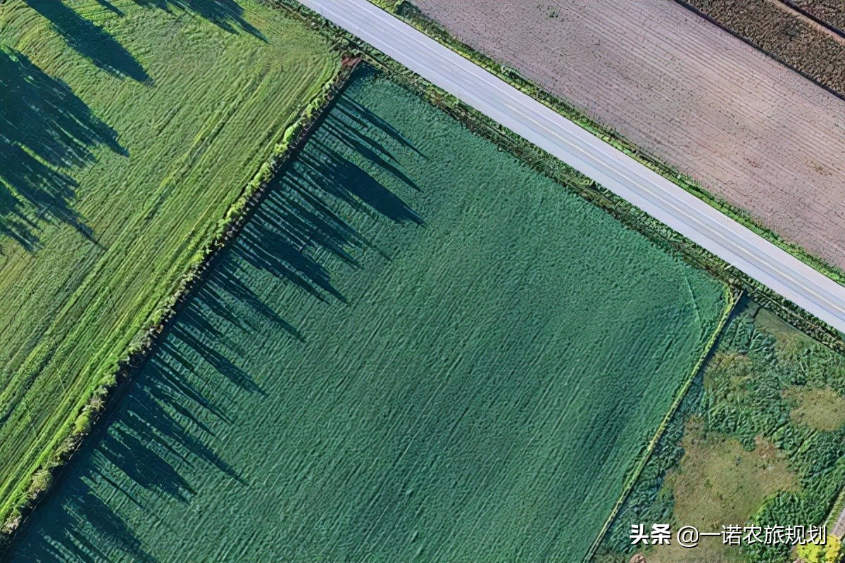 實現(xiàn)鄉(xiāng)村振興如何保障用地問題？