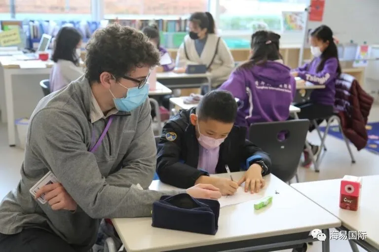 重磅！深圳哈罗礼德学校暂停一到九年级申请！家长要如何做规划？