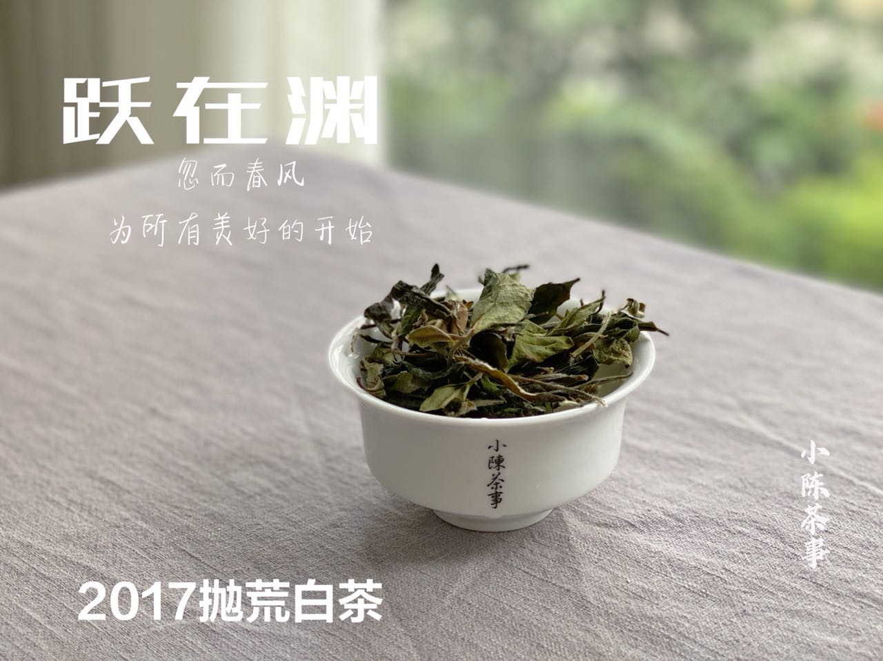 绿茶、白茶、岩茶、红茶、普洱茶，都是越陈越好吗？现在有答案了