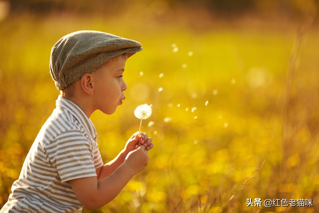 生命是盛开的花朵，它绽放得美丽，绚丽多资；生命是精美的小诗