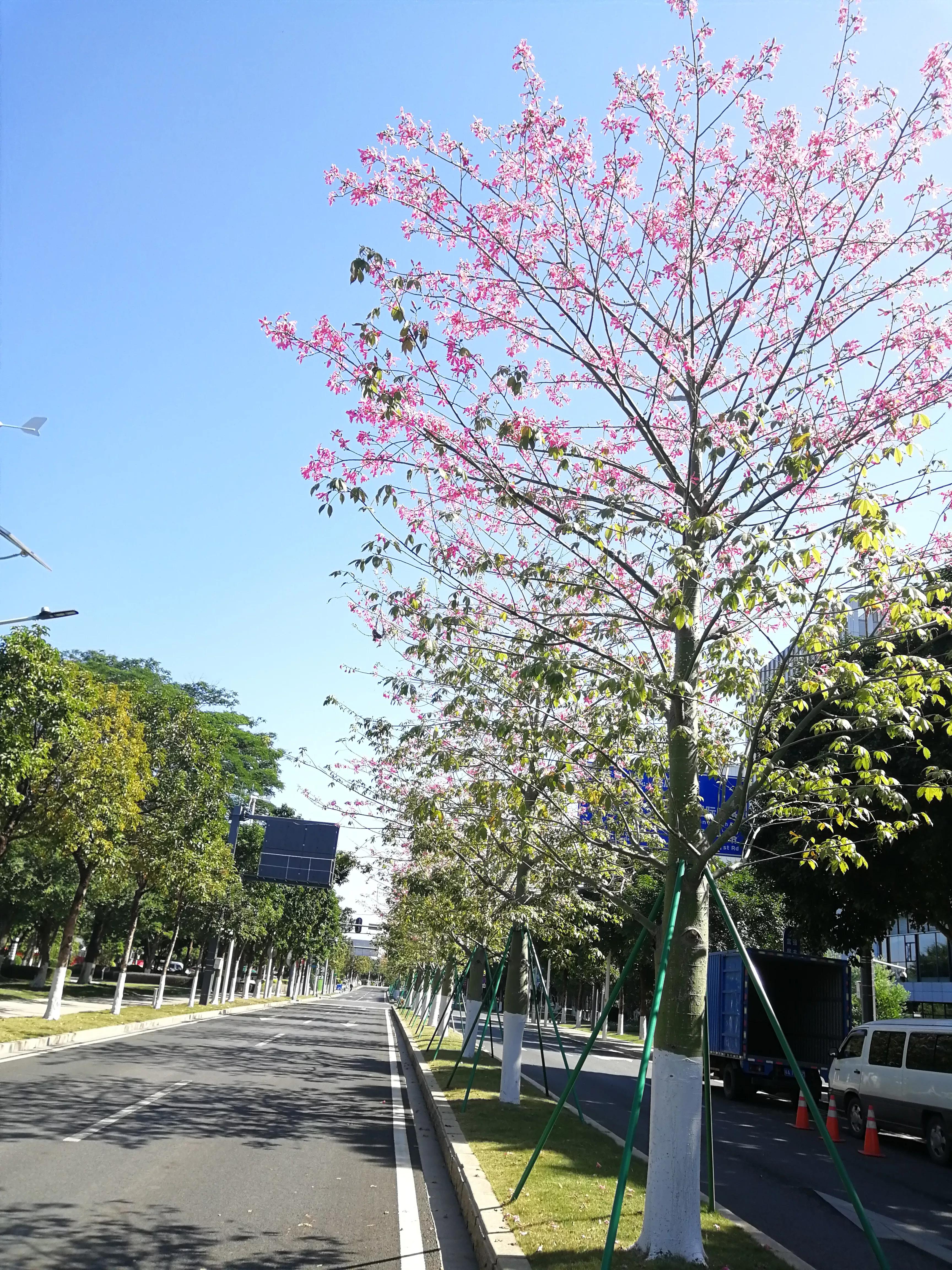 地铁4号线大学城游玩攻略，领略那不一样的广州大学城风光（C篇）