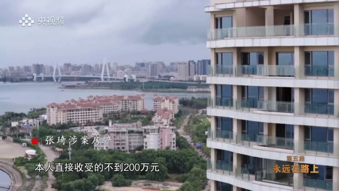 首次披露！落马前安排儿子出逃，“海南虎”张琦之子名列“红通”