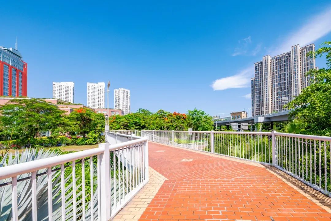 城市设计完善的公共交通设施需要什么特征