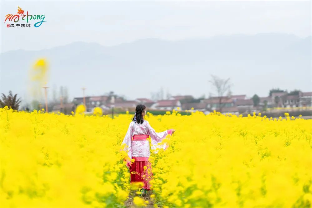 超美！漢中油菜花海美景醉人，快來隔屏感受春天的氣息~