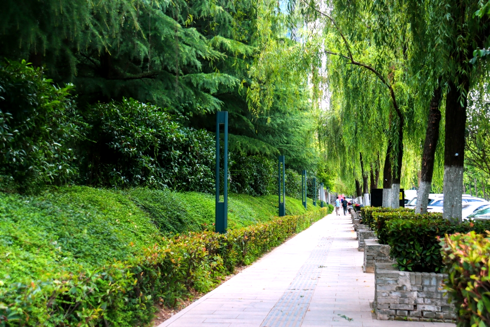 �������� | �������� ��硰������