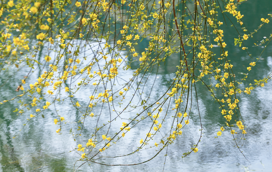 春分诗词15首 ：谁把春光，平分一半，最惜今朝！