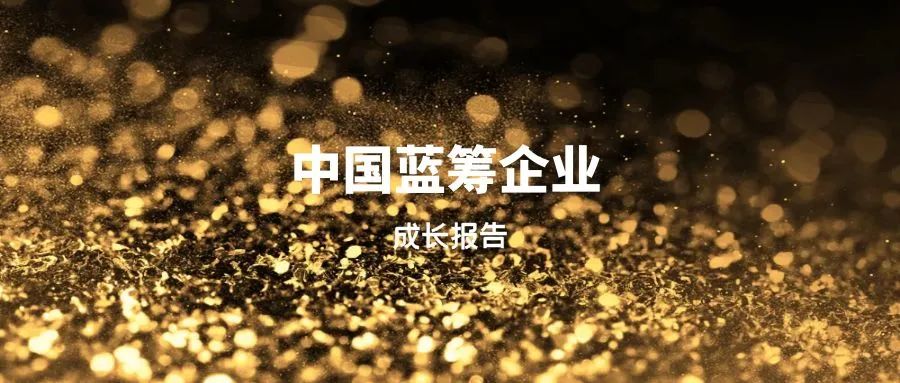 寻找中国蓝筹企业——BLUECHIPS CHINA 2022中国蓝筹企业成长报告