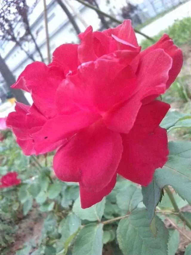 暖心正能量的句子，激励积极向上，好好生活