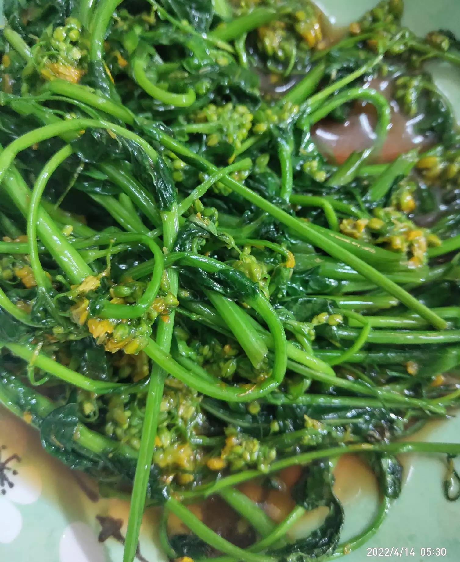 高三学生为何只想吃肉 不想吃蔬菜？菜中夹肉 做这3道菜 吃美了吗？