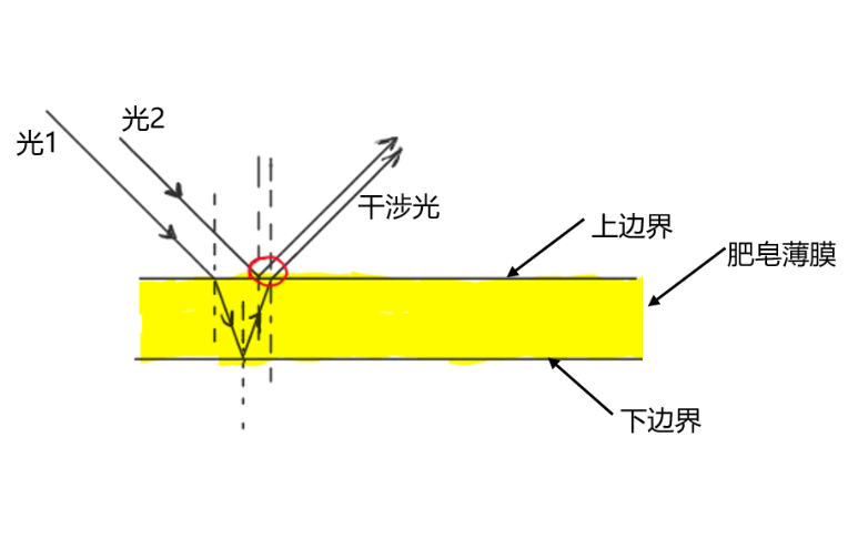 为什么肥皂水能吹出泡泡来？