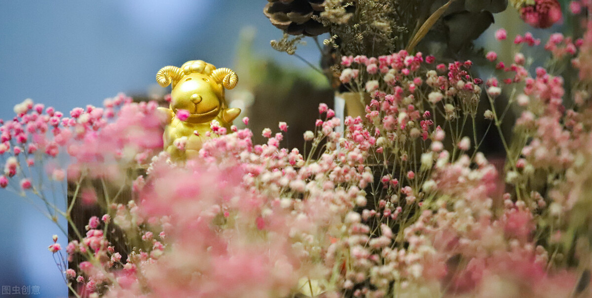 上海排名前5的专科学校，学生通过单招，综评专科考上，会很赚