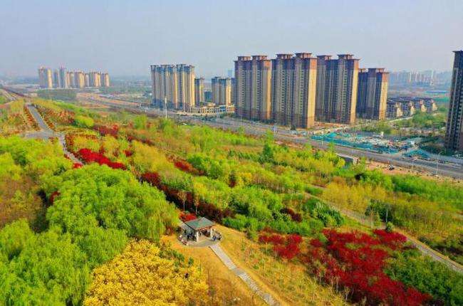 河南濮阳诞生新晋富豪，跻身当地十大首富之列