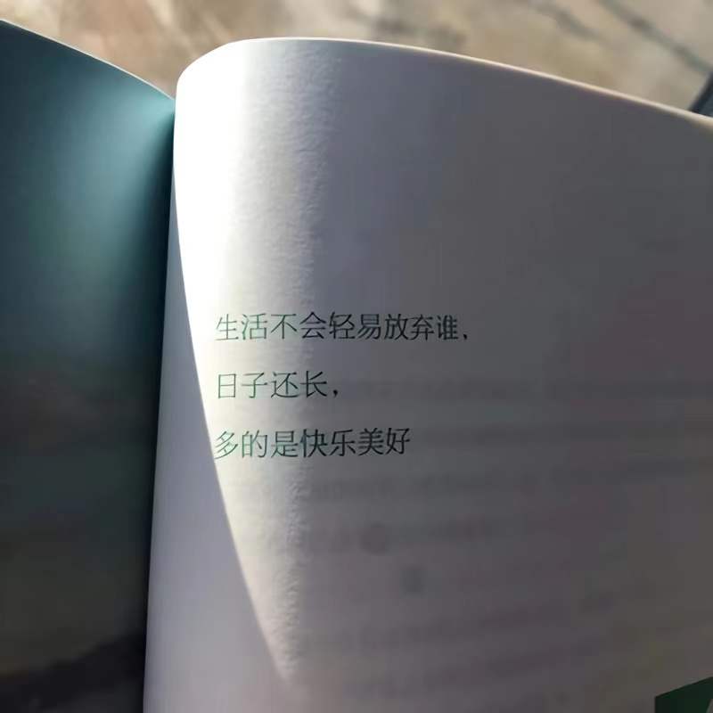 “不舍爱与自由”——温柔有力量，干净且治愈的句子摘录