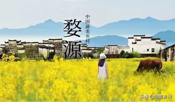 实施乡村休闲旅游提升计划，开启“三次创业”，“钱”景在哪里？