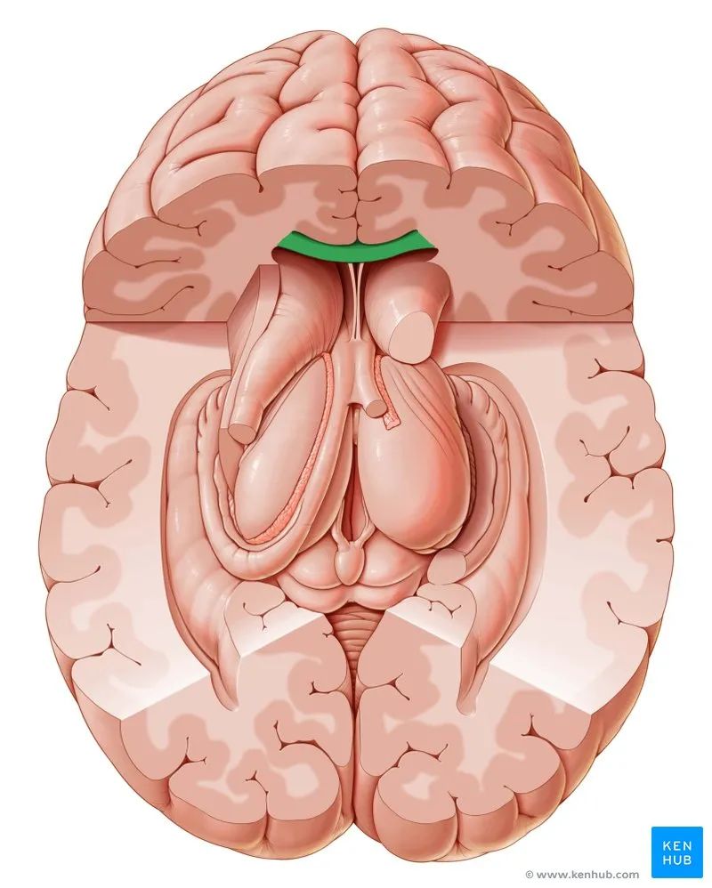 ȥ̫ס꣬Աӱˣ·Ҳ