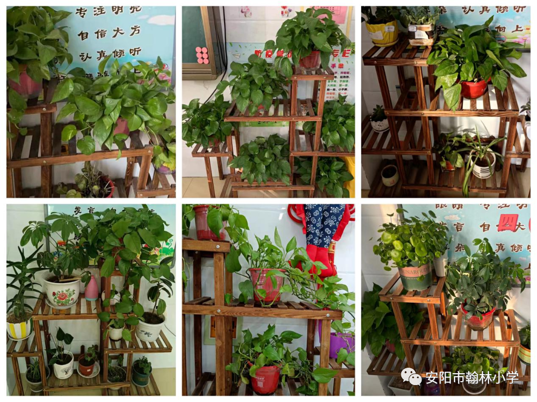 翰林小学开展“爱绿护绿——我和小树同成长”植树节活动