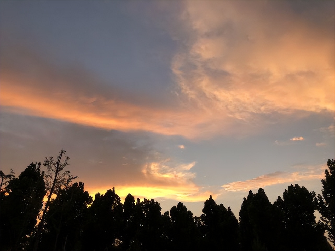 明日龙生日，老人说：明日“青龙出未库，长夏水横流”，啥意思？