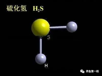說(shuō)一說(shuō)水中殺手——硫化氫含量超標(biāo)引起魚(yú)類中毒的事