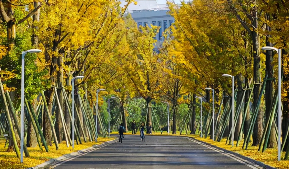 你说，成都大学怎么样？适合哪一档次的学生填报？