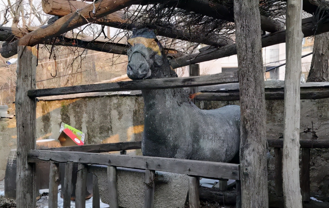 闲暇时光走进京西古村落，体味古道西风瘦马，小桥流水人家