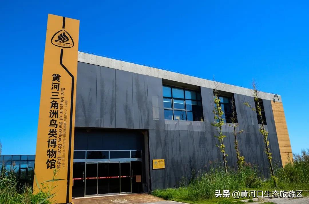 【黄河口生态旅游区】致敬！人民警察！