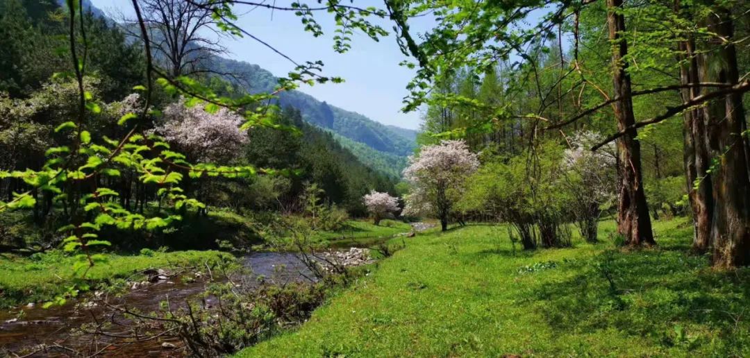 漢中踏青好去處，這個(gè)地方必打卡！