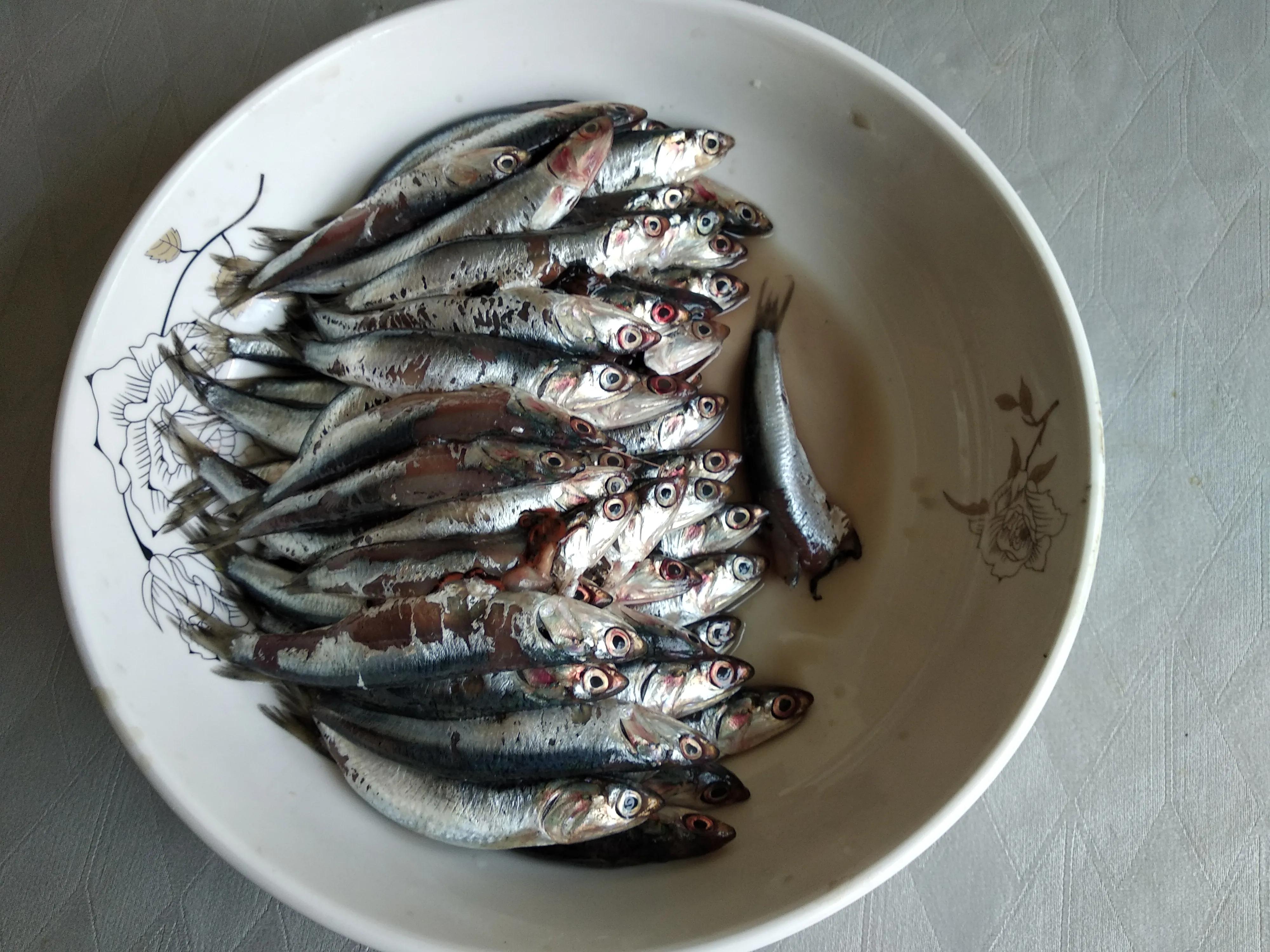秋刀鱼刺多吗（中国常见的30种海鱼介绍）