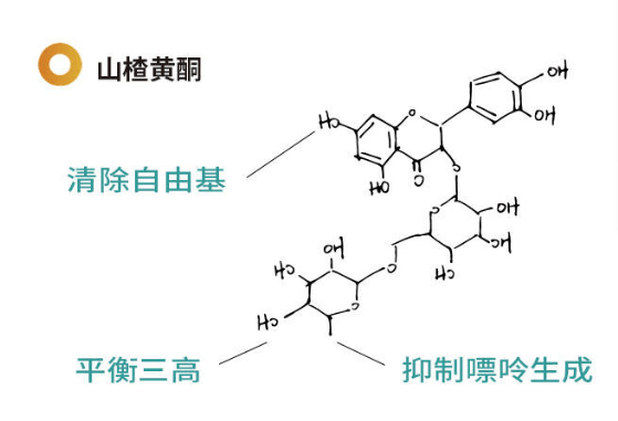 ̵ƽ磬ɽ髾Ϊʲô߾أ