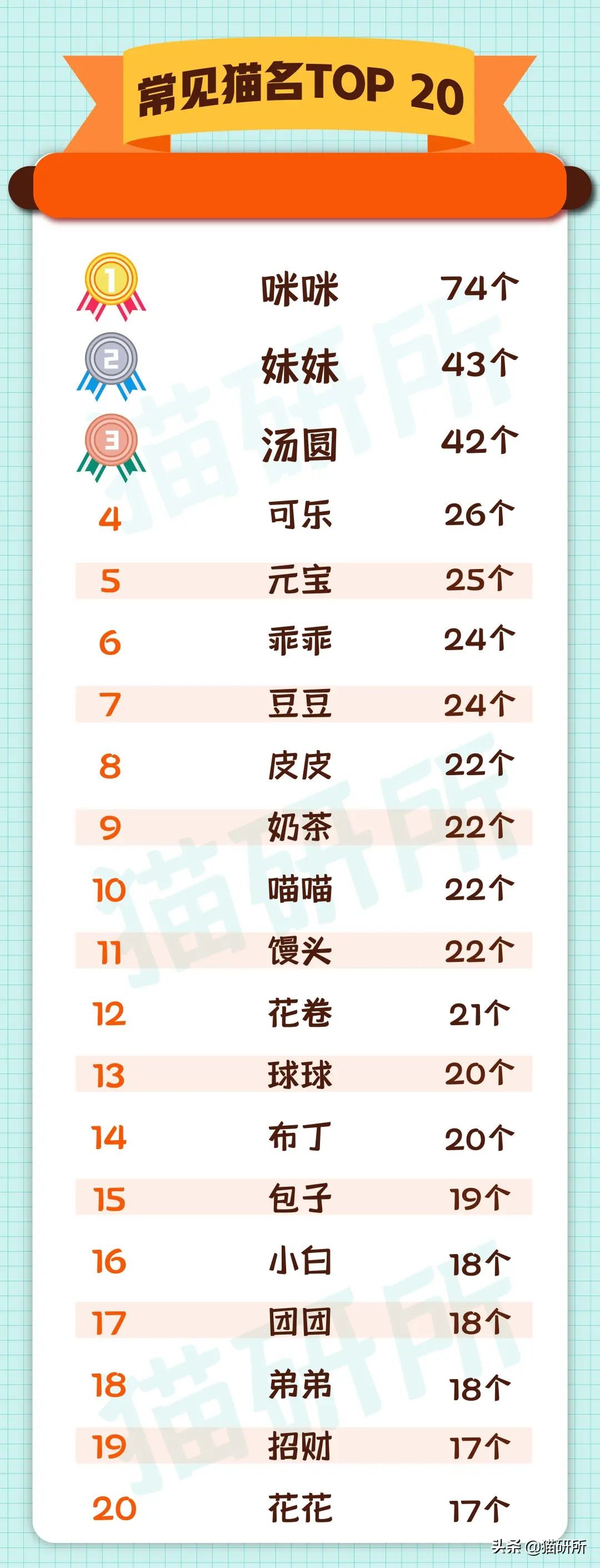 爆肝统计5000个猫名，让所有人都笑死在这些沙雕名字里