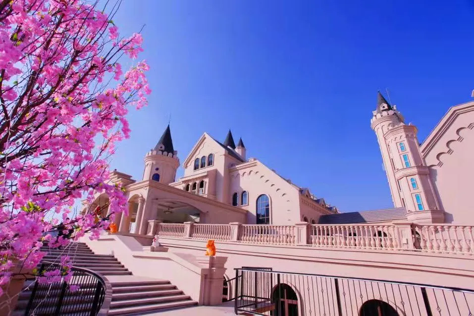 精品线路（208）：保定亲子游3大打卡地，冬天也不愁遛娃了