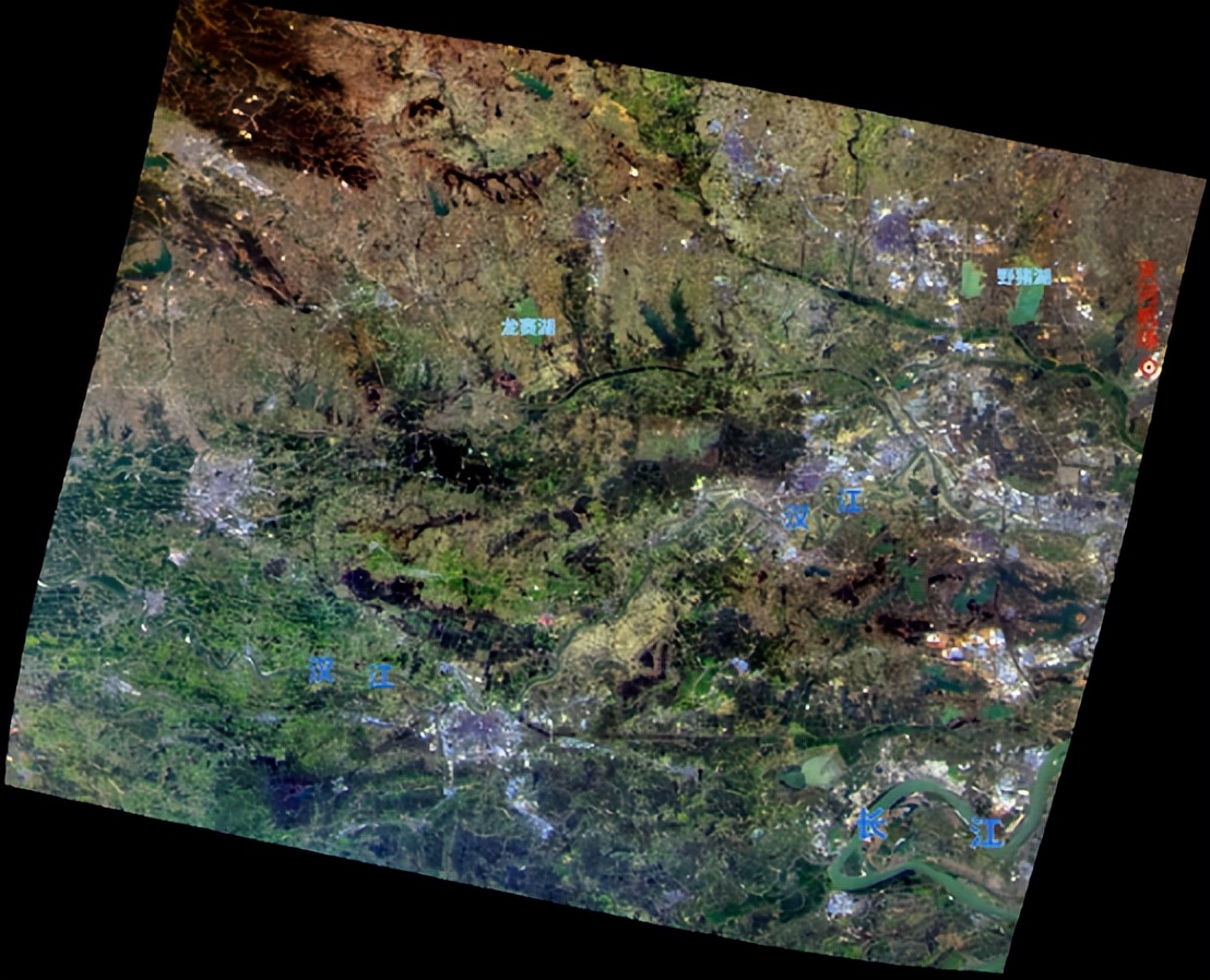 登上Nature、刷新世界纪录、实现中国第一！这8项重磅成果，都来自湖北！