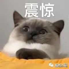 2022杭州幼儿园报名必备证件，3月17日起，将取消实体IC卡发放