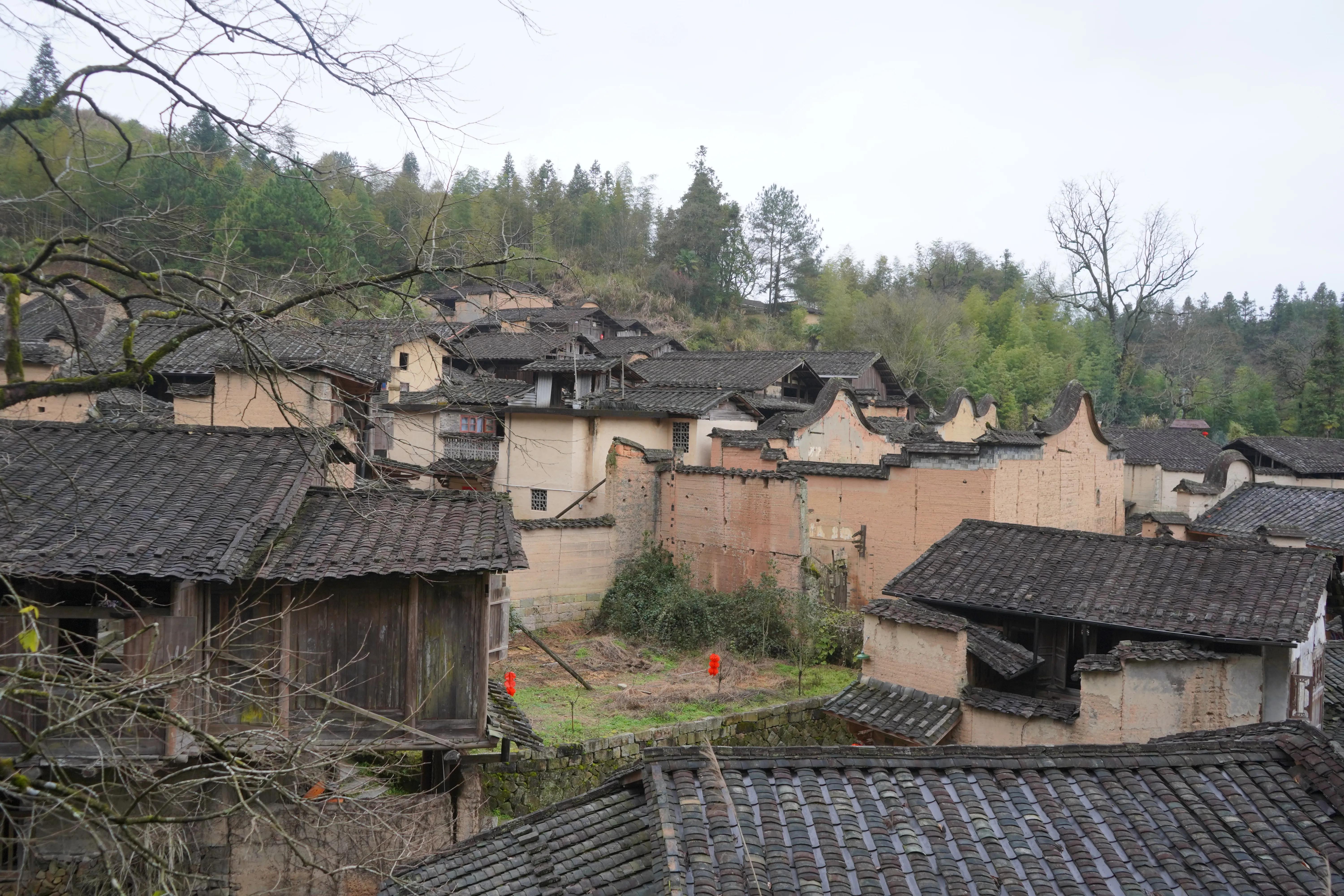 有这么一个修养圣地！竟然隐藏在福建屏南的小山村里