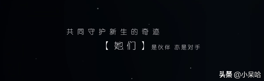 宋茜、胡杏儿、王晓晨领衔主演都市医疗剧，导演曾执导《奋斗》