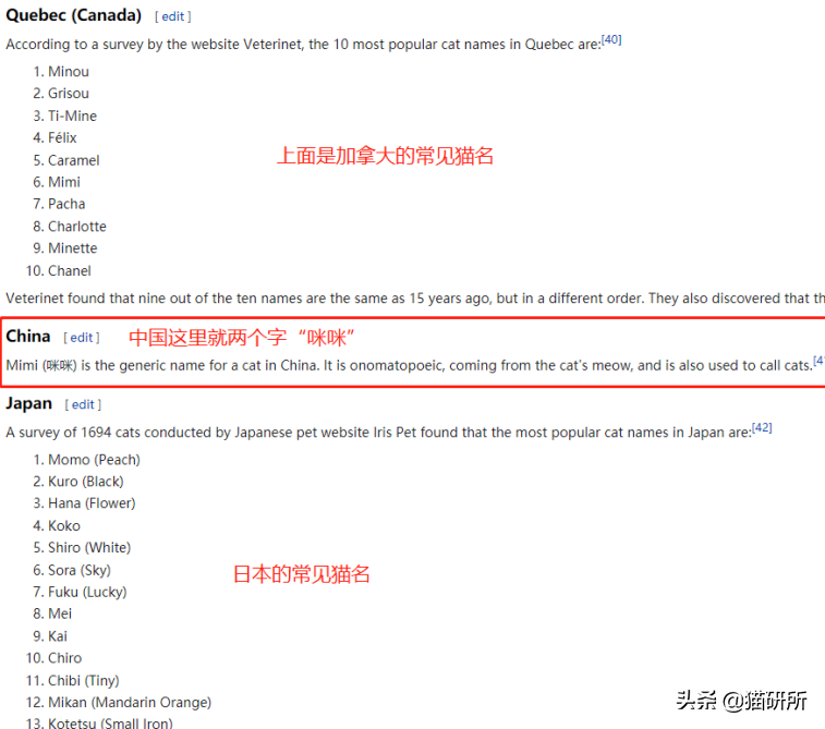 爆肝统计5000个猫名，让所有人都笑死在这些沙雕名字里