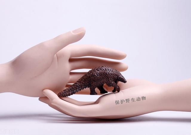 无罪辩护：涉嫌危害珍贵野生动物，实则根本没干，最终不批准逮捕