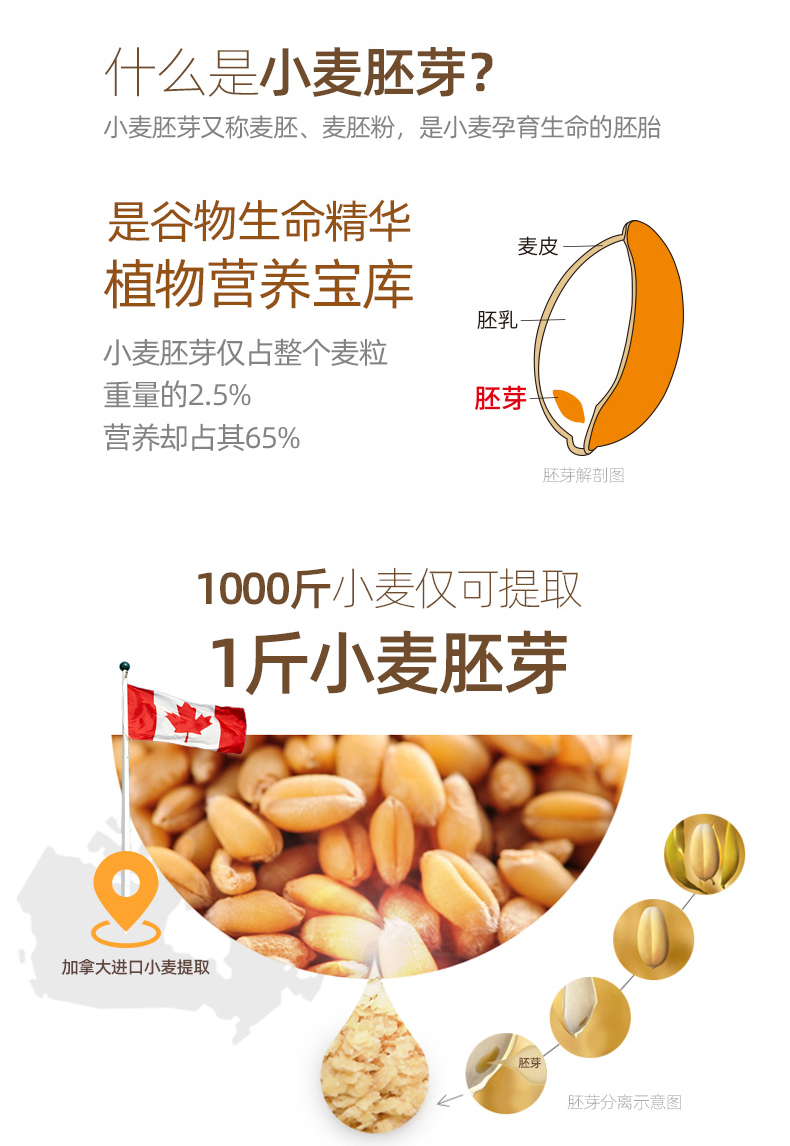 吃了这么多年，你还认为它们是同一种食物？别再傻傻分不清了