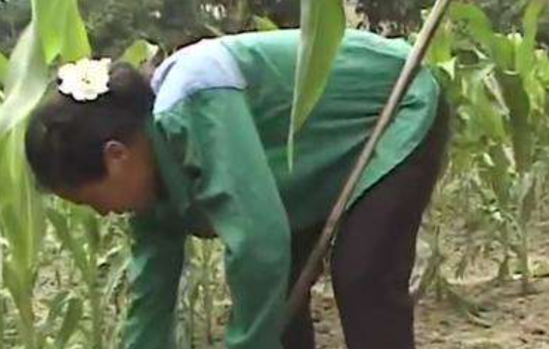 三峡“钉子户”张秉爱：全村搬迁唯独她不走，18年后结局让人唏嘘