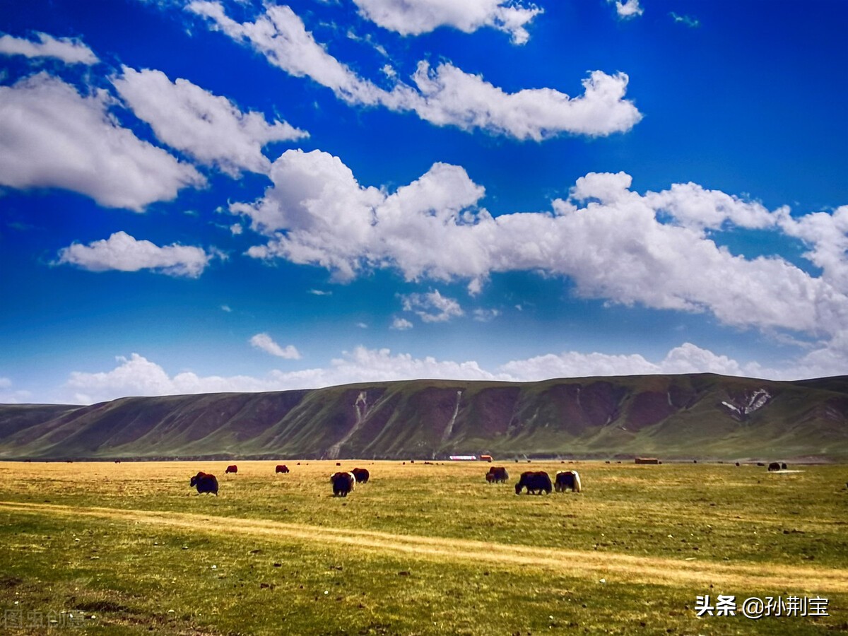 缴党费——智慧党费云缴费指尖轻松搞定