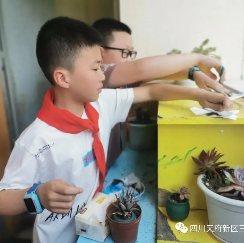 致敬最可爱的人——四川天府新区三星小学开展劳动实践周系列活动