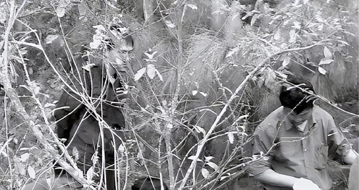 俄狄浦斯情结是什么意思（畸形恋母情结有多可怕？）