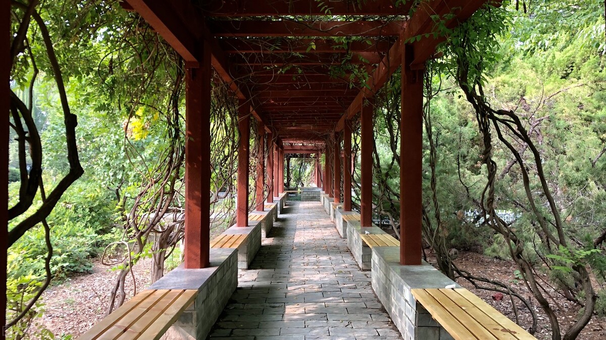 中国政法大学部分硕士研究生招生专业接收调剂的通知