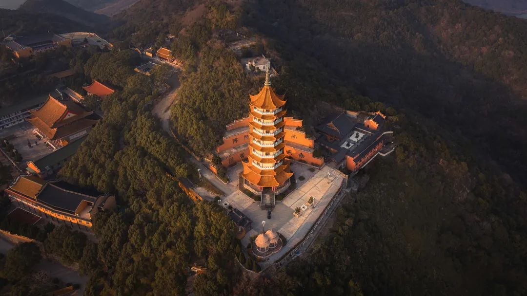 芳菲四月，花“漾”舟山，这份全岛赏花攻略 踏春路线请收好~