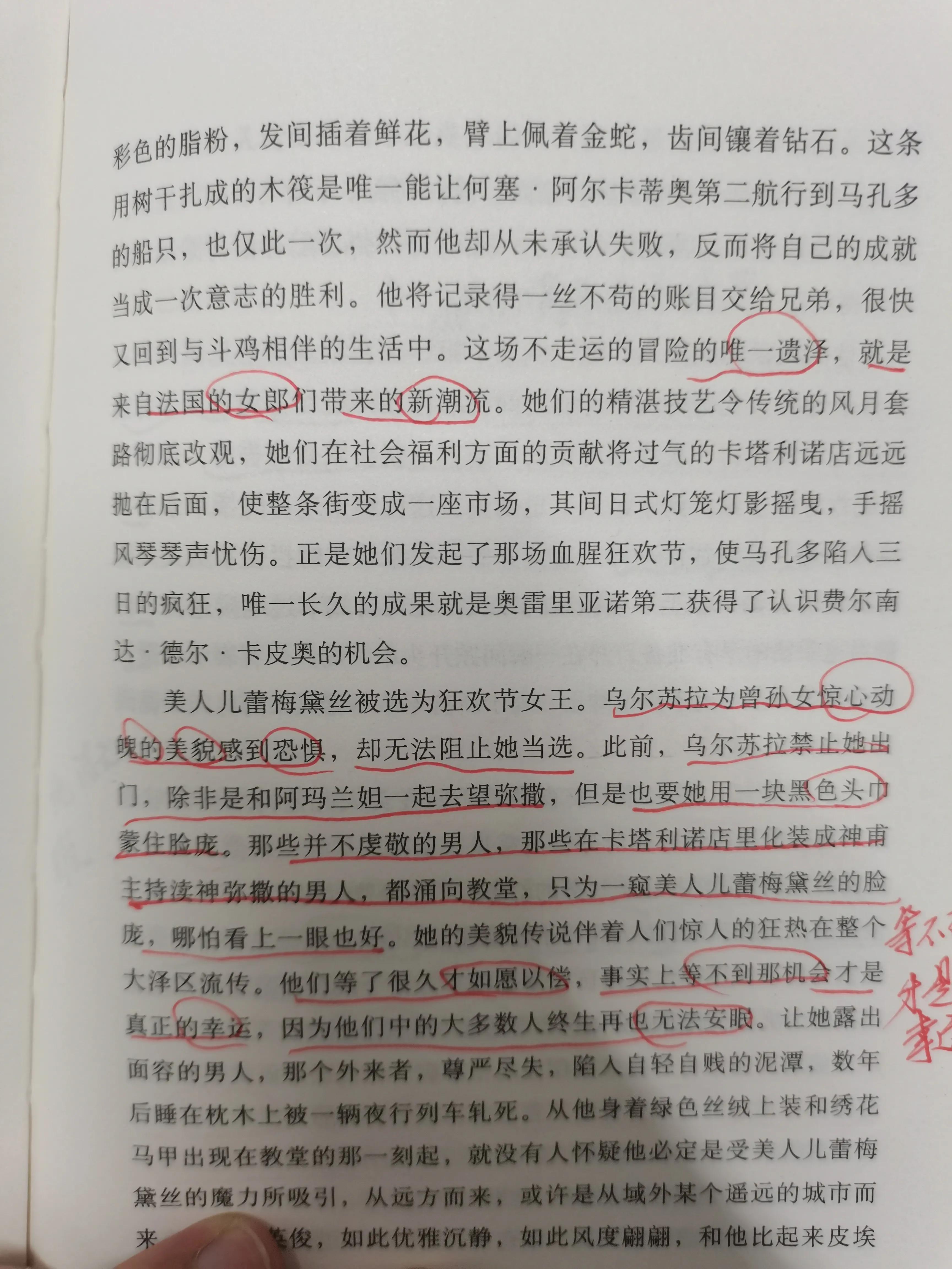 《百年孤独》观后感——生命从来不曾离开孤独而单独存在
