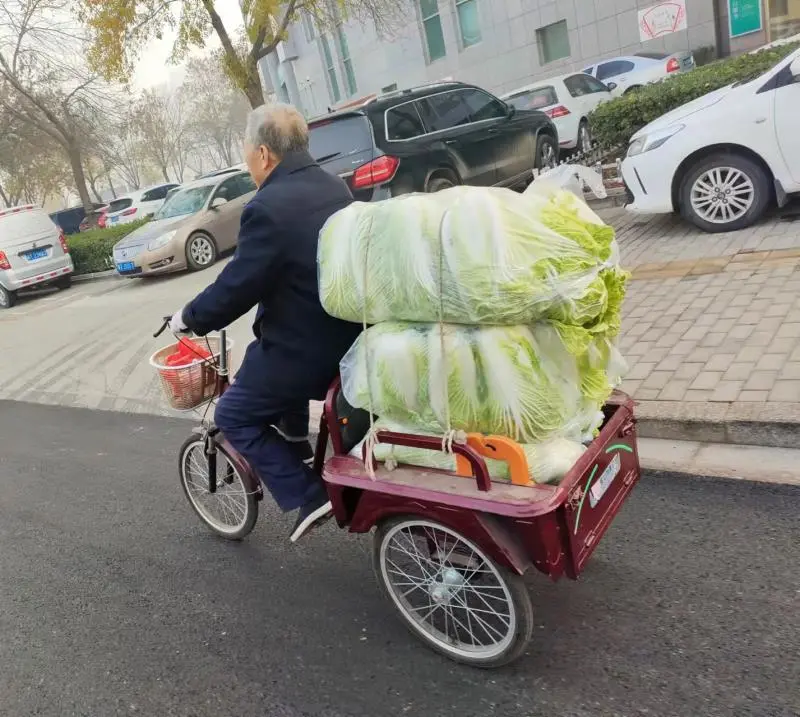 衡水市区大白菜供应充足!价格较去年翻一番